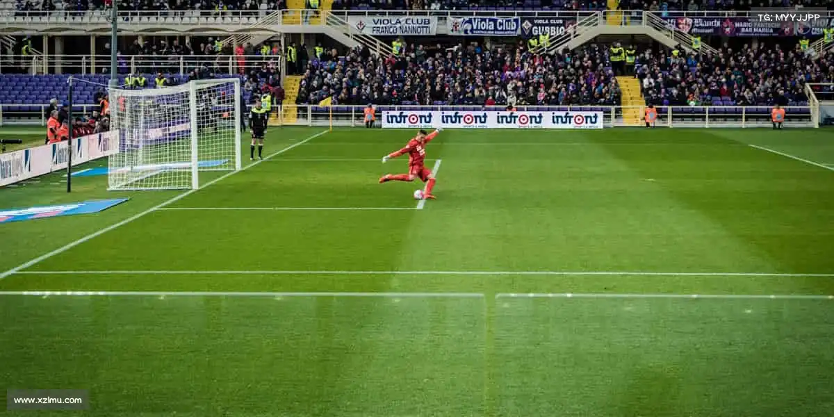 为什么选择我们